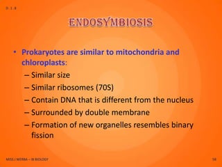D.1.8




    • Prokaryotes are similar to mitochondria and
      chloroplasts:
       – Similar size
       – Similar ribosomes (70S)
       – Contain DNA that is different from the nucleus
       – Surrounded by double membrane
       – Formation of new organelles resembles binary
         fission

MISS J WERBA – IB BIOLOGY                                 58
 