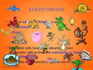 D.1.8




    • The four eukaryotic kingdoms are:
       – Protoctista
       – Fungi
       – Plantae
       – Animalia
    • Eukaryotic cells have some advantages over
      prokaryotic cells so the early eukaryotes survived
      and proliferated
    • Hence the wide diversity of species we know today!
MISS J WERBA – IB BIOLOGY                                  59
 