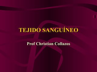 TEJIDO SANGUÍNEO Prof Christian Collazos 