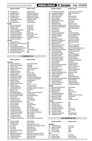 Pág. 276855NORMAS LEGALESLima, miércoles 22 de setiembre de 2004
Nombre científico Nombre común
69 Sula variegata piquero peruano
70 Synallaxis courseni coliespina de Apurímac
71 Synallaxis tithys coliespina cabecinegra
72 Synallaxis zimmeri coliespina ventrirrojiza
73 Terenura sharpei hormiguerito lomiamarillo
74 Thripophaga berlepschi rabiblando bermejo
75 Vultur gryphus cóndor andino
76 Xenoglaux loweryi lechucita bigotona
Reptiles
77 Boa constrictor ortonii boa de costa
78 Bothrops roedingeri sancarranca
79 Caretta caretta tortuga boba
80 Chelonia mydas agassizzii tortuga verde
81 Dicrodon holmbergi cañan
82 Eretmochelys imbricata tortuga carey
83 Geochelone carbonaria motelo, supay motelo
84 Lepidochelys olivacea tortuga golfina
85 Paleosuchus palpebrosus trueno lagarto, dirin dirin
86 Podocnemis expansa charapa
Anfibios
87 Atelopus peruensis sapo
88 Batrachophrynus brachydactylus rana
89 Bufo corinetes sapo
90 Cochranella saxiscandens rana
91 Cryptophyllobates azureiventris rana
92 Dendrobates mysteriosus rana misteriosa
93 Eleutherodactylus cosnipatae ranita
94 Telmatobius breviceps rana
VULNERABLE (VU)
Nombre científico Nombre común
Mamíferos
95 Agouti taczanowskii paca de Taczanowski
96 Amorphochilus schnablii murciélago
97 Ateles chamek maquisapa
98 Blastocerus dichotomus ciervo de los pantanos
99 Cacajao calvus huapo colorado
100 Callicebus oenanthe tocón
101 Callicebus torquatus tocón de collar
102 Callimico goeldii pichico de Goeldi
103 Chaetophractus nationi armadillo de Nation
104 Chibchanomys trichotis rata chibcha de oreja peluda
105 Cryptotis peruviensis musaraña colicorta peruana
106 Dasypus pilosus armadillo peludo
107 Eptesicus innoxius murciélago
108 Hippocamelus antisensis taruca
109 Lagothrix cana mono choro común
110 Lagothrix lagotricha mono choro común
111 Lonchophylla hesperia murciélago longirostro norperuano
112 Mazama chunyi tanka taruka
113 Mazama rufina venado
114 Monodelphis osgoodi colicorto marsupial de Osgood
115 Myrmecophaga tridactyla oso hormiguero
116 Neusticomys peruviensis rata acuática peruana
117 Otaria byronia lobo chusco
118 Oxymycterus hiska ratón hocicudo
119 Priodontes maximus armadillo gigante
120 Rhipidomys ochrogaster rata
121 Sciurus pyrrhinus ardilla rojiza
122 Sciurus sanborni ardilla de Sanborn
123 Tapirus terrestris sachavaca
124 Thomasomys apeco ratón de Apeco
125 Thomasomys gracilis ratón montaraz delicado
126 Thomasomys incanus ratón montaraz incaico
127 Thomasomys kalinowskii ratón montaraz de Kalinowski
128 Thomasomys macrotis ratón montaraz
129 Thomasomys onkiro ratón montaraz
130 Thomasomys praetor ratón montaraz
131 Thomasomys taczanowskii ratón montaraz de Taczanowski
Aves
132 Acestrura bombus colibrí abejorro
133 Aglaeactis aliciae colibrí de Alicia
134 Ara chloroptera guacamayo rojo y verde
135 Ara couloni guacamayo verde de cabeza celeste
136 Ara macao guacamayo rojo
137 Ara militaris guacamayo verde
138 Asthenes huancavelicae canastero colipálida
139 Attila torridus atila ocráceo
140 Buthraupis aureodorsalis tangara de montaña lomo dorado
141 Buthraupis wetmorei tangara de montaña enmascarada
142 Carduelis siemiradzkii jilguero azafranado
143 Columba oenops paloma peruana
Nombre científico Nombre común
144 Conirostrum tamarugense mielerito de los tamarugales
145 Coryphaspiza melanotis pinzón enmascarado
146 Crypturellus casiquiare perdiz
147 Crypturellus duidae perdiz de varillar
148 Forpus xanthops perico pachaloro
149 Galbula pastazae jacamar pechicobrizo
150 Hapalopsittaca pyrrhops loro carirrojo
151 Harpia harpyja águila arpía
152 Heliangelus regalis angel del sol azul
153 Hemispingus rufosuperciliaris hemispingo cejirrufa
154 Hylocryptus erythrocephalus rascahojas capuchirrufo
155 Incaspiza ortizi pájaro del inca aligris
156 Jabiru mycteria jabiru
157 Larosterna inca zarcillo
158 Lathrotriccus griseipectus mosquerito pechigris
159 Leptosittaca branickii loro de mejillas doradas
160 Lipaugus uropygialis silbador alicimitarra
161 Mitu salvini paujil vientre blanco
162 Myrmeciza griseiceps hormiguero cabecigris
163 Neopelma chrysocephalum saltarín corona de oro
164 Netta erythropthalma pato cabeza castaña
165 Notharchus ordii buco
166 Nothoprocta taczanowskii perdiz de Tacsanowski
167 Nyctibius leucopterus ayamama patablanca
168 Oceanodroma markhami golondrina de tempestad oscura
169 Onychorhynchus occidentalis atrapamoscas occidental
170 Ortalis erythroptera chachalaca cabecirrufa
171 Percnostola arenarum hormiguero
172 Phacellodomus dorsalis espinero dorsicastaño
173 Phoebastria irrorata albatros de Galápagos
174 Phoenicoparrus andinus parihuana andina
175 Phoenicoparrus jamesi parihuana de James
176 Picumnus steindachneri carpinterito pechijaspeado
177 Pithys castanea hormiguero
178 Progne murphyi golondrina peruana
179 Siptornopsis hypochondriacus colaespina grande
180 Sterna hirundinacea gaviotín sudamericano
181 Sterna lorata gaviotín peruano
182 Synallaxis maranonica colaespina del Marañón
183 Syndactyla ruficollis tico tico cuellirrufo
184 Tangara meyerdeschauenseei tangara gorriverde
185 Theristicus melanopis bandurria
186 Tinamus osgoodi perdiz negra
187 Touit stictoptera periquito alipunteado
188 Wetmorethraupis sterrhopteron tangara gargantinaranja
189 Xenospingus concolor fringilo apizarrado
190 Xipholena punicea cotinga purpúrea
191 Zaratornis stresemanni cotinga cachetiblanco
192 Zimmerius villarejoi moscarete de Mishana
Reptiles
193 Batrachemys heliostemma ashnacharapa
194 Bothrops andianus jergón
195 Bothrops barnetti macanche
196 Bothrops pictus jergón de costa
197 Ctenoblepharis adspersa lagartija
198 Dicrodon heterolepis lagartija de cabeza colorada
199 Melanosuchus niger caimán negro
200 Podocnemis unifilis taricaya
201 Polychrus femoralis camaleoncito verde
Anfibios
202 Atelopus pachydermus sapo
203 Atelopus tricolor sapo
204 Centrolene euhytrix rana
205 Centrolene hesperium rana
206 Ceratophrys stolzmanni rana cornuda
207 Gastrotheca ochoai rana marsupial
208 Phrynopus simonsii rana
209 Telmatobius arequipensis rana de Arequipa
210 Telmatobius culeus rana del Titicaca
CASI AMENAZADO (NT)
Nombre científico Nombre común
Mamíferos
211 Alouatta seniculus mono coto
212 Lagothrix poeppigii mono choro
213 Panthera onca jaguar
214 Puma concolor puma
215 Vicugna vicugna vicuña
Aves
216 Aburria aburri pava negra
217 Accipiter collaris gavilán de collar
218 Amazona festiva loro de lomo rojo
 