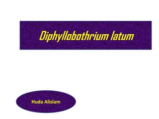 Diphyllobothrium latum

Huda Alislam

 