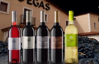 D.O.5 Hispanobodegas group .Wines introduction