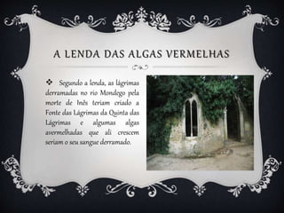 A LENDA DAS ALGAS VERMELHAS
 Segundo a lenda, as lágrimas
derramadas no rio Mondego pela
morte de Inês teriam criado a
Fo...