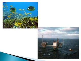 Environmental Impact Assessment for the marine environment | PPT