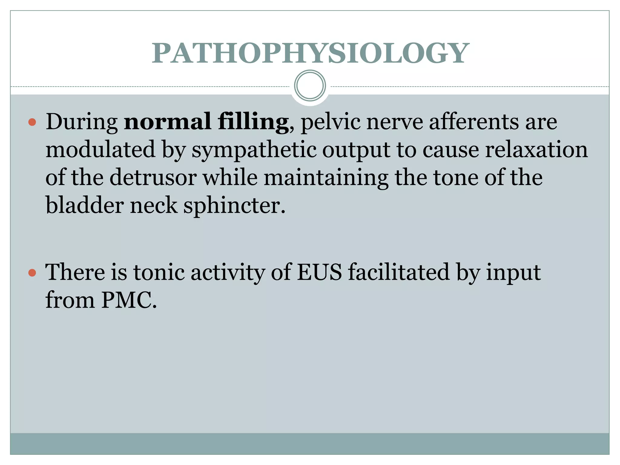 PATHOPHYSIOLOGY 
 During normal filling, pelvic nerve afferents are 
modulated by sympathetic output to cause relaxation 
of the detrusor while maintaining the tone of the 
bladder neck sphincter. 
 There is tonic activity of EUS facilitated by input 
from PMC. 
 
