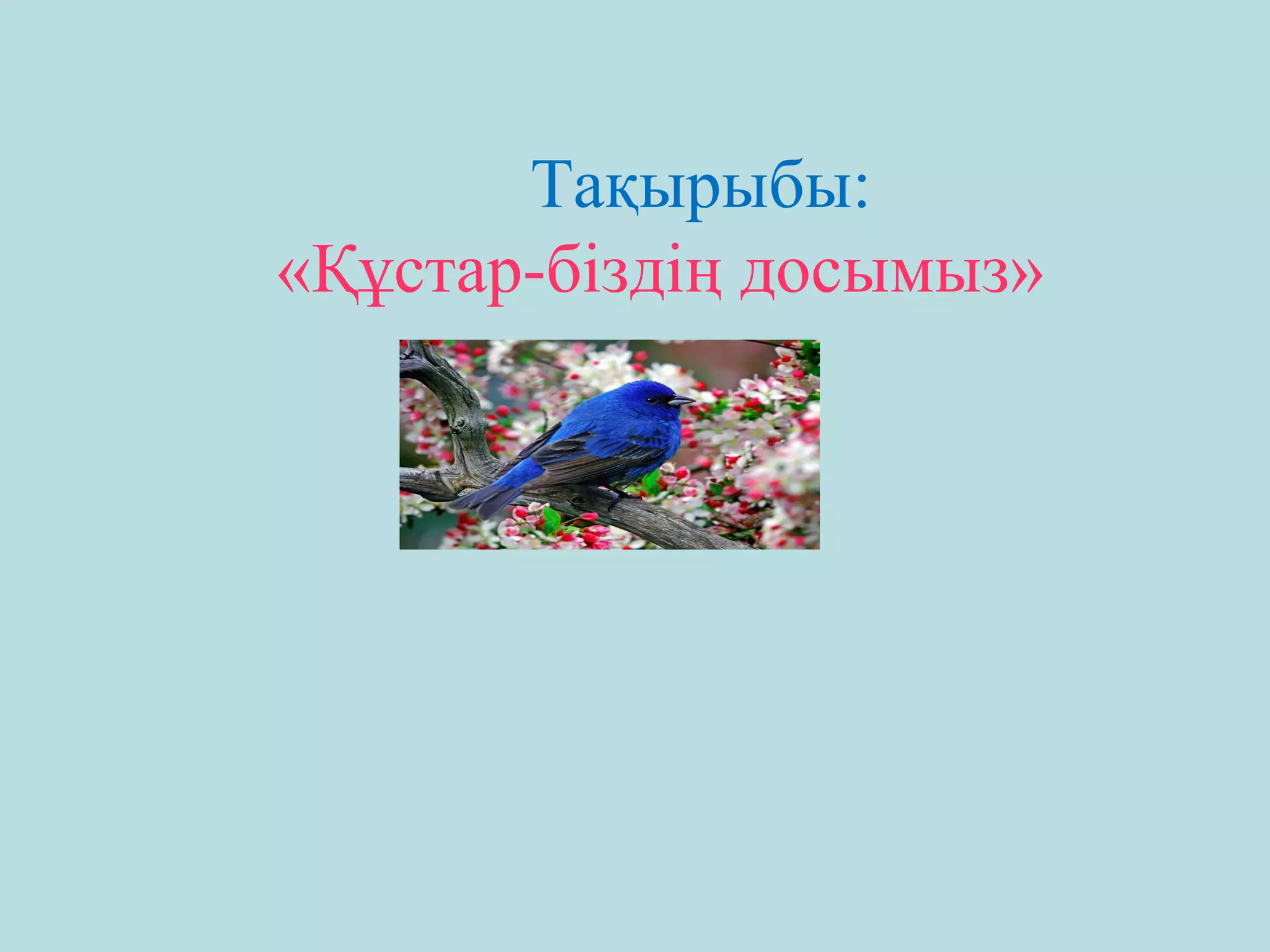 Порно модель жұмыстары