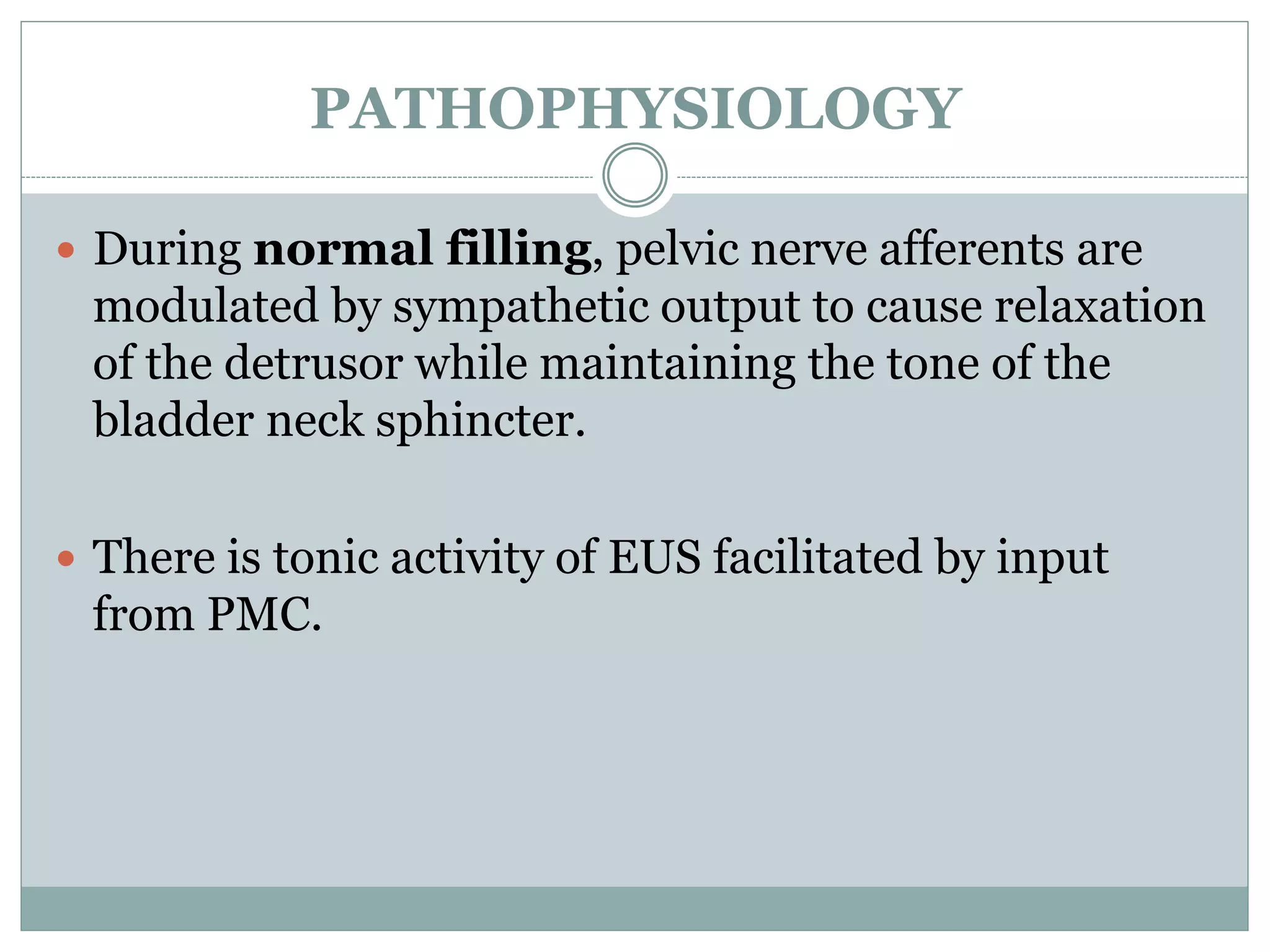 PATHOPHYSIOLOGY
 During normal filling, pelvic nerve afferents are
modulated by sympathetic output to cause relaxation
of the detrusor while maintaining the tone of the
bladder neck sphincter.
 There is tonic activity of EUS facilitated by input
from PMC.
 