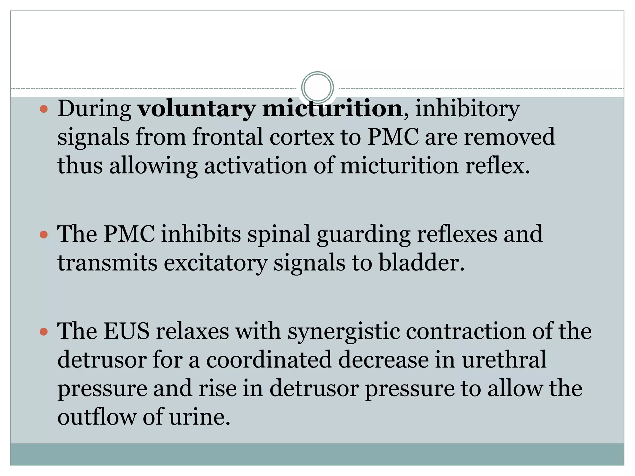  During voluntary micturition, inhibitory
signals from frontal cortex to PMC are removed
thus allowing activation of micturition reflex.
 The PMC inhibits spinal guarding reflexes and
transmits excitatory signals to bladder.
 The EUS relaxes with synergistic contraction of the
detrusor for a coordinated decrease in urethral
pressure and rise in detrusor pressure to allow the
outflow of urine.
 