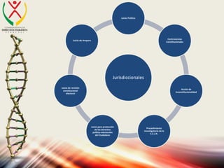 Jurisdiccionales
Juicio Político
Controversias
Constitucionales
Acción de
Inconstitucionalidad
Procedimiento
investigatorio de la
S.C.J.N.
Juicio para protección
de los derechos
político-electorales
del Ciudadano
Juicio de revisión
constitucional
electoral
Juicio de Amparo
 