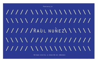 Raúl Nunez Portafolio 2015