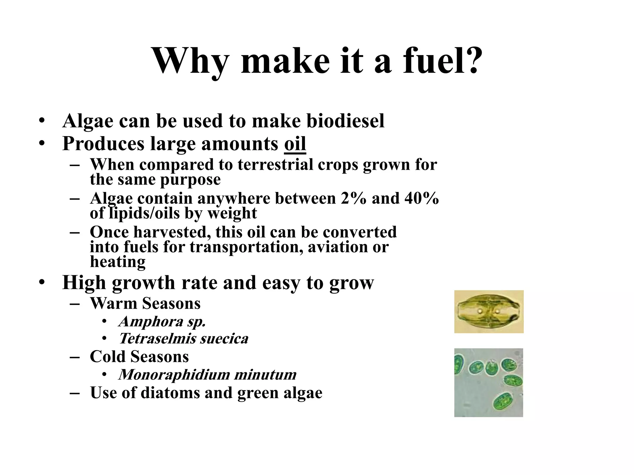 Biodiesel production from micro-algae | PDF
