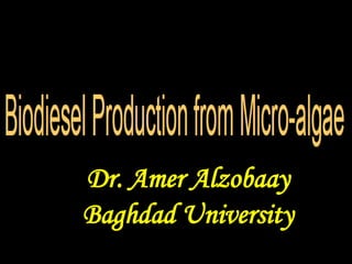 Dr. Amer Alzobaay
Baghdad University
 