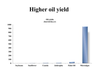 Higher oil yield
0
100
200
300
400
500
600
700
800
900
1000
Soybeans Sunflower Canola Jathropha Palm Oil Microalgae
Oil yields
(barrels/ha-yr)
 