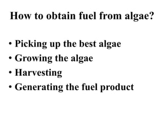 How to obtain fuel from algae?
• Picking up the best algae
• Growing the algae
• Harvesting
• Generating the fuel product
 