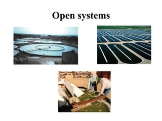 Open systems
 