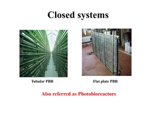 Closed systems
Also referred as Photobioreactors
Tubular PBR Flat plate PBR
 