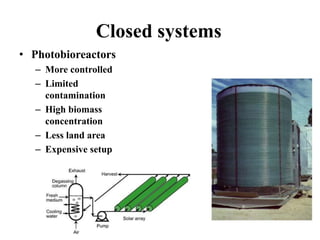 Closed systems
• Photobioreactors
– More controlled
– Limited
contamination
– High biomass
concentration
– Less land area
– Expensive setup
 
