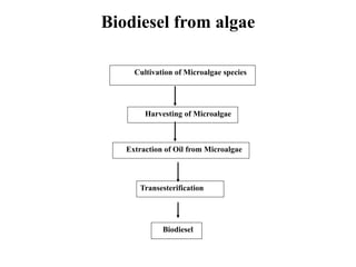 Biodiesel from algae
Cultivation of Microalgae species
Harvesting of Microalgae
Extraction of Oil from Microalgae
Transesterification
Biodiesel
 