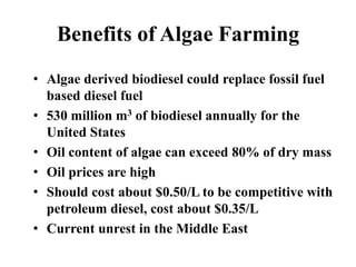 • Algae derived biodiesel could replace fossil fuel
based diesel fuel
• 530 million m3 of biodiesel annually for the
United States
• Oil content of algae can exceed 80% of dry mass
• Oil prices are high
• Should cost about $0.50/L to be competitive with
petroleum diesel, cost about $0.35/L
• Current unrest in the Middle East
Benefits of Algae Farming
 