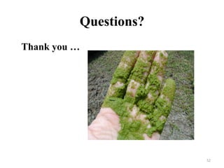 52
Questions?
Thank you …
 