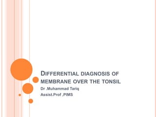 DIFFERENTIAL DIAGNOSIS OF
MEMBRANE OVER THE TONSIL
Dr .Muhammad Tariq
Assist.Prof ,PIMS
 