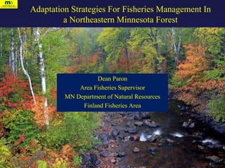 Adaptation Strategies For Fisheries Management In
a Northeastern Minnesota Forest
Dean Paron
Area Fisheries Supervisor
MN Department of Natural Resources
Finland Fisheries Area
 