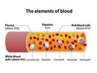 PATHOLOGY OF BLOOD AND URINE | PPTX
