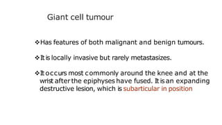 Giant cell tumour
Has features of both malignant and benign tumours.
It is locally invasive but rarely metastasizes.
It occurs most commonly around the knee and at the
wrist after the epiphyses have fused. It isan expanding
destructive lesion, which is subarticular in position
 