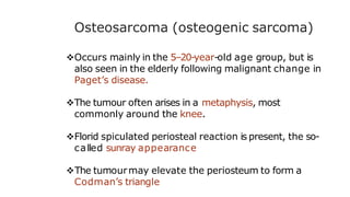Osteosarcoma (osteogenic sarcoma)
Occurs mainly in the 5–20-year-old age group, but is
also seen in the elderly following malignant change in
Paget’s disease.
The tumour often arises in a metaphysis, most
commonly around the knee.
Florid spiculated periosteal reaction is present, the so-
called sunray appearance
The tumourmay elevate the periosteum to form a
Codman’s triangle
 