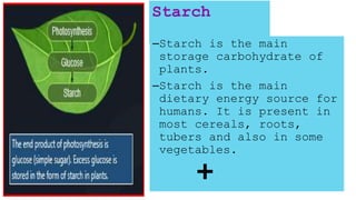 BIOMOLECULES-CARBOHYDRATE_the most abundant biomoleculepptx | PPTX