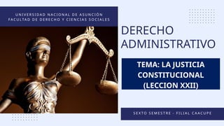 Comprehensive Overview of Constitutional Justice and Legal Control in ...