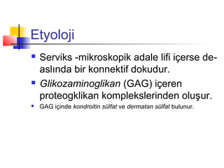 Etyoloji






Serviks -mikroskopik adale lifi içerse deaslında bir konnektif dokudur.
Glikozaminoglikan (GAG) içeren
proteogklikan komplekslerinden oluşur.
GAG içinde kondroitin sülfat ve dermatan sülfat bulunur.

 