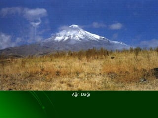 Ağrı Dağı
 