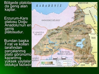 Bölgede platolar
da geniş alan
kaplar.

Erzurum-Kars
platosu Doğu
Anadolu'nun en
geniş
plâtosudur.

Bundan başka
Fırat ve kolları
tarafından
parçalanmış
plato görünümü
kazanmış
yüksek yaylalar
oldukça fazladır.
 