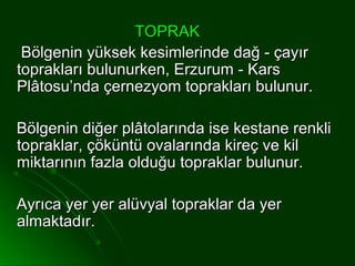 TOPRAK
 Bölgenin yüksek kesimlerinde dağ - çayır
toprakları bulunurken, Erzurum - Kars
Plâtosu’nda çernezyom toprakları bulunur.

Bölgenin diğer plâtolarında ise kestane renkli
topraklar, çöküntü ovalarında kireç ve kil
miktarının fazla olduğu topraklar bulunur.

Ayrıca yer yer alüvyal topraklar da yer
almaktadır.
 
