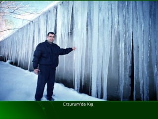 Erzurum'da Kış
 