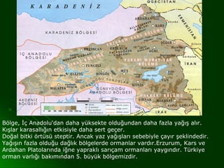 Bölge, İç Anadolu'dan daha yüksekte olduğundan daha fazla yağış alır.
Kışlar karasallığın etkisiyle daha sert geçer.
Doğal bitki örtüsü steptir. Ancak yaz yağışları sebebiyle çayır şeklindedir.
Yağışın fazla olduğu dağlık bölgelerde ormanlar vardır.Erzurum, Kars ve
Ardahan Platolarında iğne yapraklı sarıçam ormanları yaygındır. Türkiye
orman varlığı bakımından 5. büyük bölgemizdir.
 