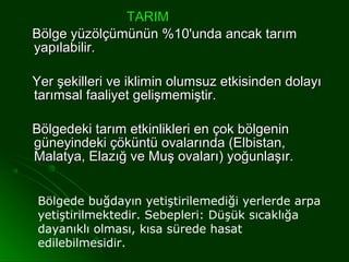 TARIM
Bölge yüzölçümünün %10'unda ancak tarım
yapılabilir.

Yer şekilleri ve iklimin olumsuz etkisinden dolayı
tarımsal faaliyet gelişmemiştir.

Bölgedeki tarım etkinlikleri en çok bölgenin
güneyindeki çöküntü ovalarında (Elbistan,
Malatya, Elazığ ve Muş ovaları) yoğunlaşır.


Bölgede buğdayın yetiştirilemediği yerlerde arpa
yetiştirilmektedir. Sebepleri: Düşük sıcaklığa
dayanıklı olması, kısa sürede hasat
edilebilmesidir.
 