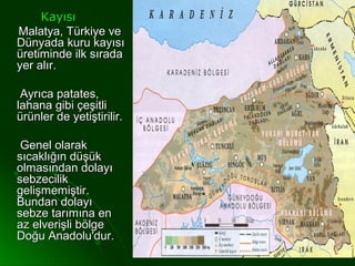 Kayısı
Malatya, Türkiye ve
Dünyada kuru kayısı
üretiminde ilk sırada
yer alır.

 Ayrıca patates,
lahana gibi çeşitli
ürünler de yetiştirilir.

 Genel olarak
sıcaklığın düşük
olmasından dolayı
sebzecilik
gelişmemiştir.
Bundan dolayı
sebze tarımına en
az elverişli bölge
Doğu Anadolu'dur.
 
