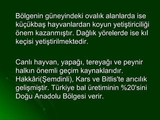 Bölgenin güneyindeki ovalık alanlarda ise
küçükbaş hayvanlardan koyun yetiştiriciliği
önem kazanmıştır. Dağlık yörelerde ise kıl
keçisi yetiştirilmektedir.

Canlı hayvan, yapağı, tereyağı ve peynir
halkın önemli geçim kaynaklarıdır.
Hakkâri(Şemdinli), Kars ve Bitlis'te arıcılık
gelişmiştir. Türkiye bal üretiminin %20'sini
Doğu Anadolu Bölgesi verir.
 