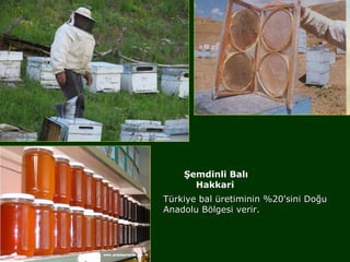 Şemdinli Balı
      Hakkari
Türkiye bal üretiminin %20'sini Doğu
Anadolu Bölgesi verir.
 