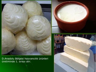 D.Anadolu Bölgesi hayvancılık ürünleri
üretiminde 1. sırayı alır.
 