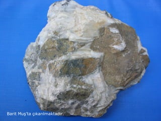 Barit Muş’ta çıkarılmaktadır.
 