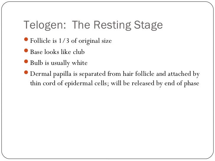 D Anatomy And Physiology Of The Hair And Skin