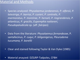 Material and Methods <ul><li>Species analyzed:  Physalaemus jordanensis, P. olfersii, P. latestriga, P. barrioi, P. cuvier...
