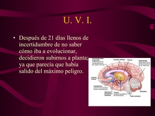 U. V. I. Después de 21 días llenos de incertidumbre de no saber cómo iba a evolucionar, decidieron subirnos a planta; ya que parecía que había salido del máximo peligro.