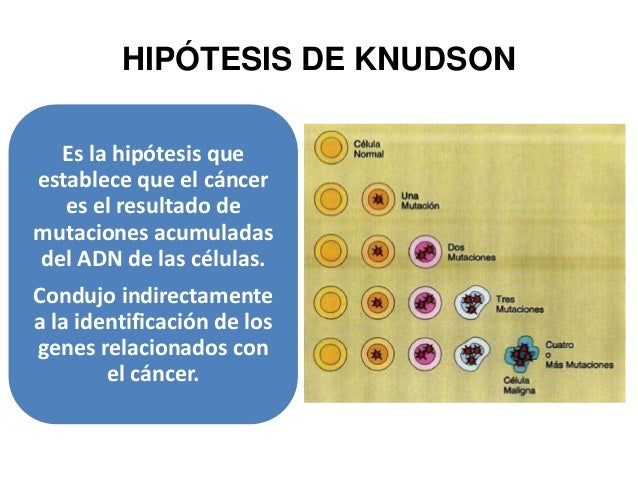 El libro sobre esto como es posible dejar fumar