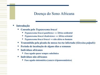 Doença do Sono Africana

 Introdução
      Causada pelo Trypanosoma brucei
           Trypanosoma brucei gambiense → África ocidental
           Trypanosoma brucei rhodesiense → África oriental
           Trypanosoma brucei brucei → não afeta os homens
      Transmitida pela picada da mosca tse-tse infectada (Glossina palpalis)
      Período de incubação de alguns dias a semanas
      Indivíduos africanos
           Fase aguda quase sempre subclínica
      Indivíduos não africanos
           Fase aguda sintomática (cancro tripanosomiásico)
 