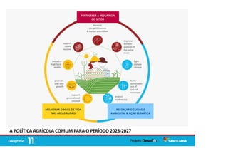 FORTALECER A RESILIÊNCIA
DO SETOR
REFORÇAR O CUIDADO
AMBIENTAL & AÇÃO CLIMÁTICA
MELHORAR O NÍVEL DE VIDA
NAS ÁREAS RURAIS
A POLÍTICA AGRÍCOLA COMUM PARA O PERÍODO 2023-2027
 