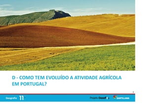 D - COMO TEM EVOLUÍDO A ATIVIDADE AGRÍCOLA
EM PORTUGAL?
3
 